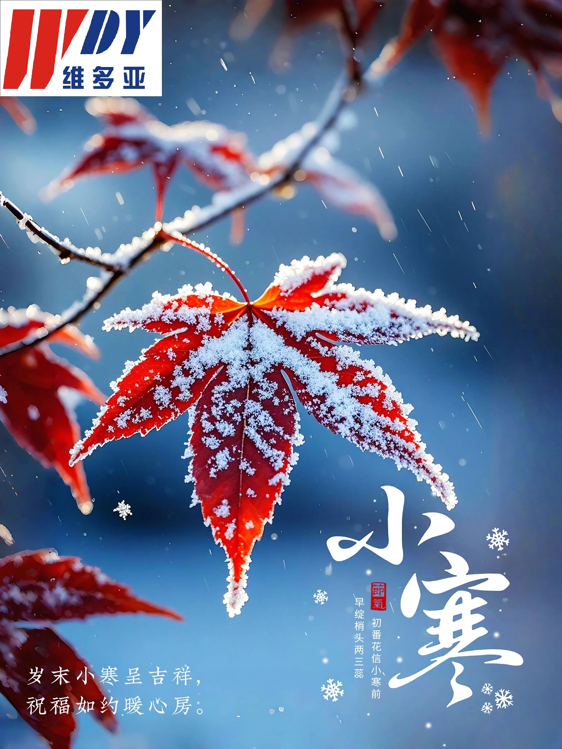 1767579476387693.jpg 小寒.jpg