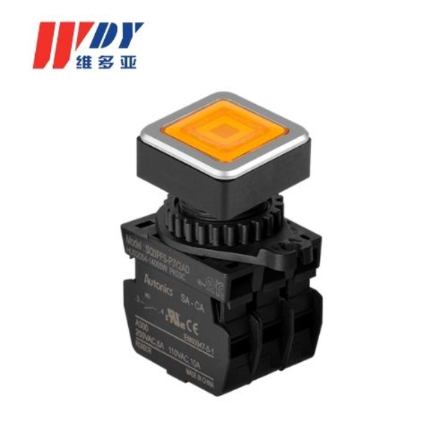 长洲SQ3PFS 系列 安装开孔Ø30 方形按钮开关