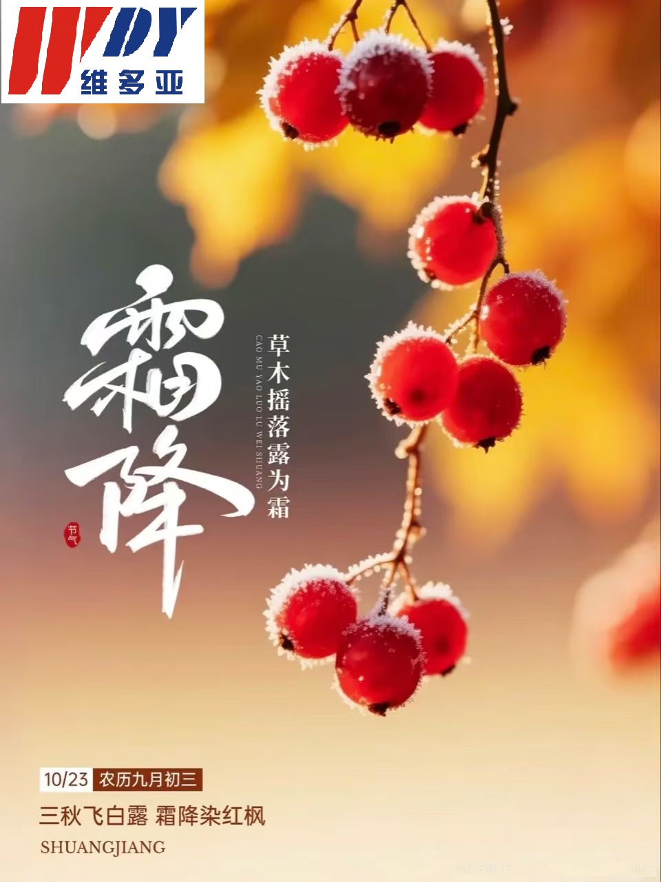 霜降.jpg