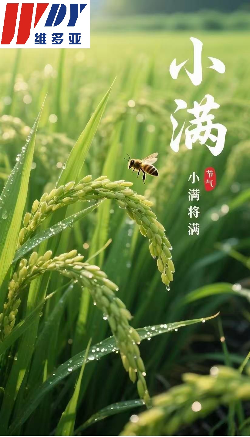 小满.jpg